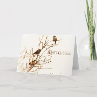 Carte de Noël - Christmas Card - Merry Christmas!