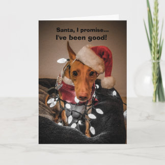 Carte de Noël Cirneco dell'Etna