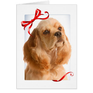 Carte de Noël Cocker Spaniel