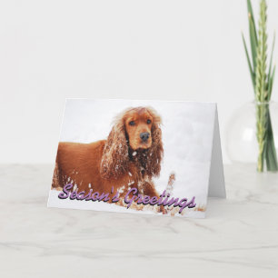 Carte de Noël Cocker Spaniel