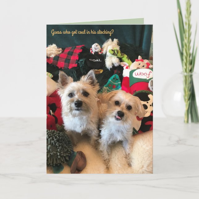 Carte de Noël Collecteur de Charbon Canine (Devant)