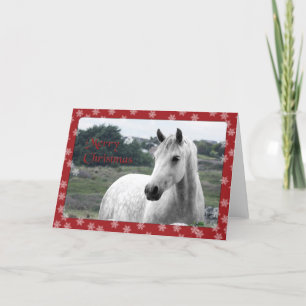 Carte de Noël Connemara Pony