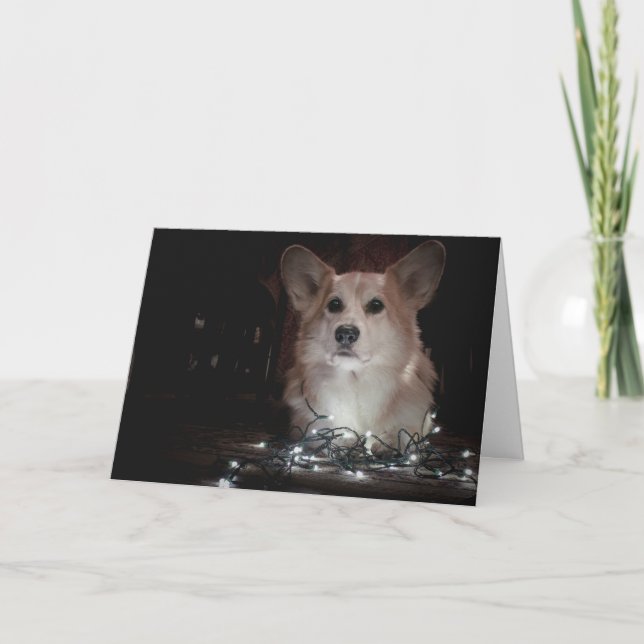 Carte de Noël Corgi (Devant)