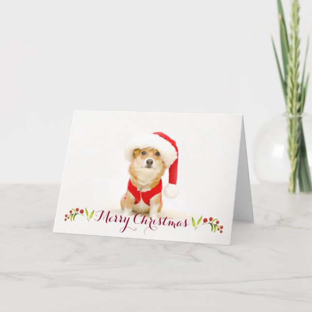 Carte de Noël Corgi Père Noël Paws | DaysieMeetsWo (Devant)
