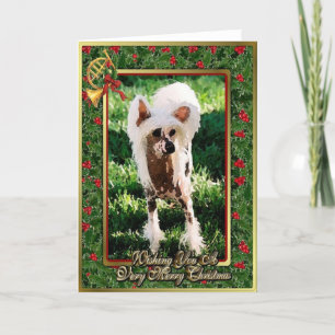 Carte de Noël crêtée chinoise de blanc de chien