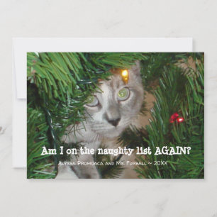 Carte de Noël Cute Chat Ajouter Votre Animal Photo