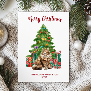 Carte de Noël Cute Maine Coon