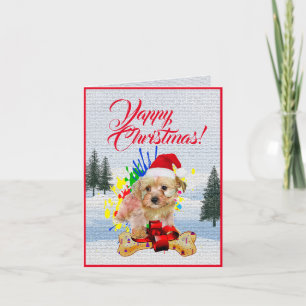 Carte de Noël Cute Morkie Dog