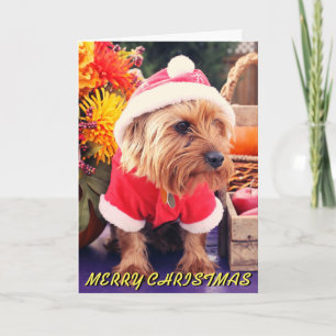 Carte de Noël Cute Terrier
