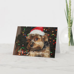 Carte de Noël Cute Yorkshire Terrier