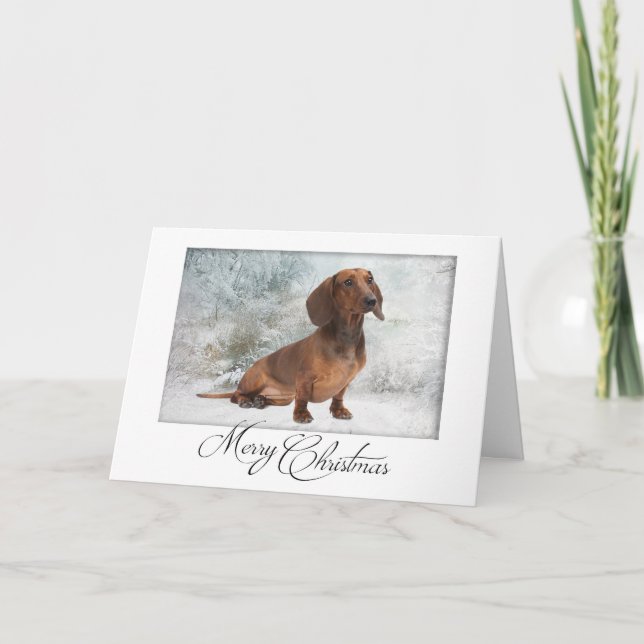 Carte de Noël Dachshund (Devant)