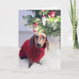 Carte de Noël Dachshund