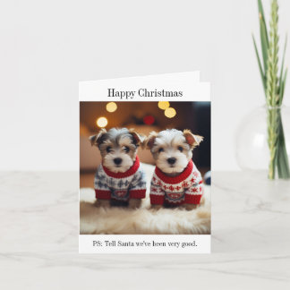 Carte de Noël Dandie Dinmont Terrier Puppies