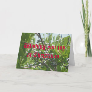 Carte de Noël de Bayberry