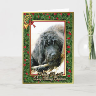 Carte de Noël de blanc de chien de Labradoodle