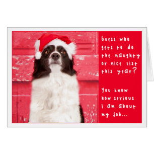 Carte de Noël de border collie