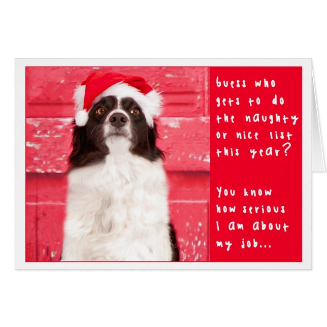 Carte de Noël de border collie (Devant horizontal)
