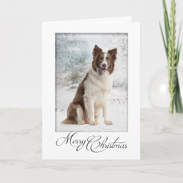 Carte de Noël de border collie de chocolat (Devant)