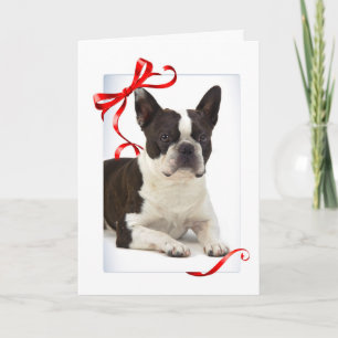 Carte de Noël de Boston Terrier