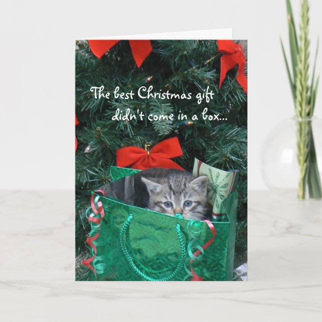 Carte de Noël de cadeau de chaton (Devant)
