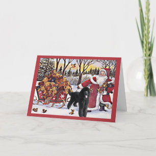 Carte de Noël de caniche Père Noël Ours en traînea