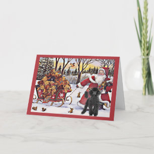Carte de Noël de caniche Père Noël Ours en traînea