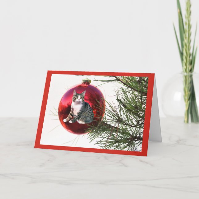 Carte de Noël de chat (Devant)