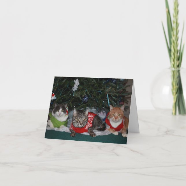 Carte de Noël de chat (Devant)