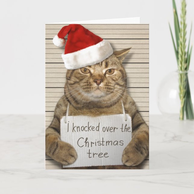 Carte de Noël de chat coupable en bonnet de Père N (Devant)