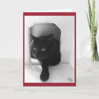 Carte de Noël de chat noir