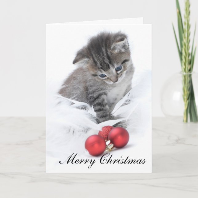 Carte de Noël de chaton (Devant)