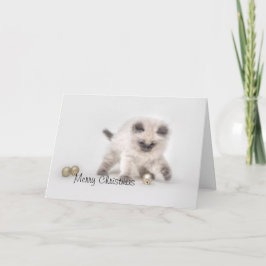 Carte de Noël de chaton Ragdoll