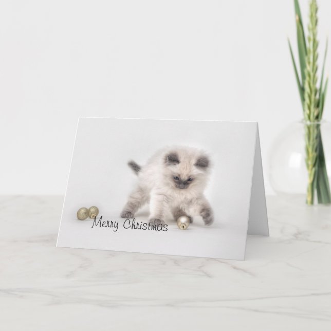 Carte de Noël de chaton Ragdoll (Devant)