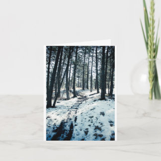 Carte de Noël de chemin d'hiver