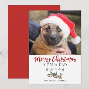 Carte de Noël de chien