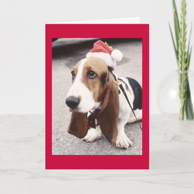 Carte de Noël de chien (Devant)