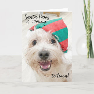 Carte de noël de chien blanc moelleux