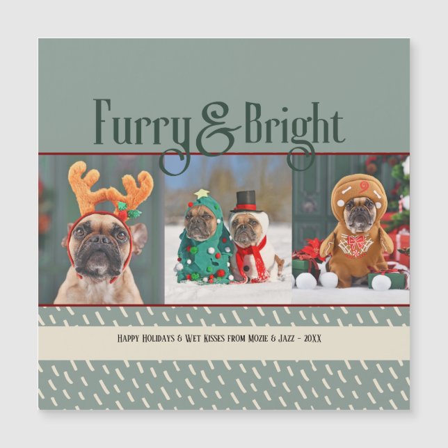 Carte de Noël de chien de Furry & Bright Photo de  (Devant)