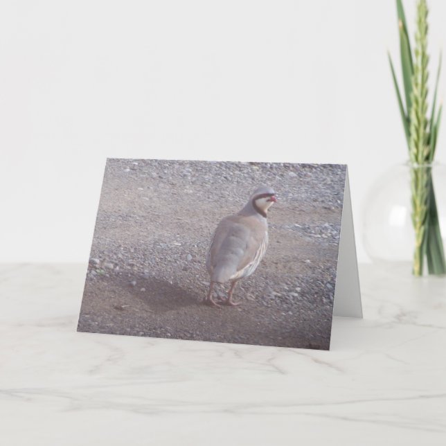 Carte de Noël de Chukar (Devant)