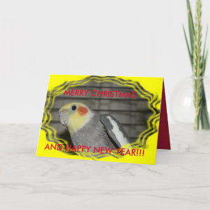 CARTE de Noël de Cockatiel de Harley