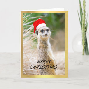 Carte de Noël de conception "de Meerkat mignon"