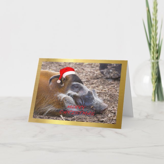 Carte de Noël de conception "de Warthog mignon" (Devant)
