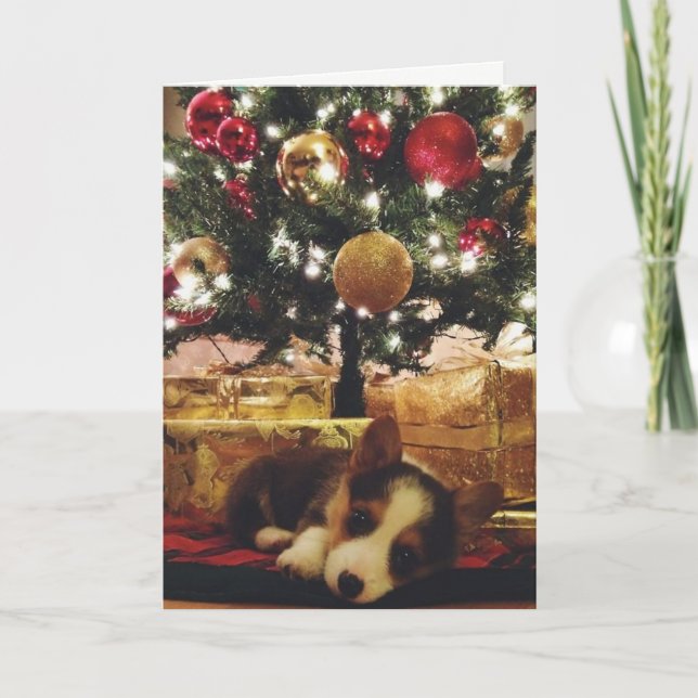 Carte de Noël de corgi (Devant)