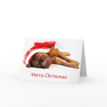 Carte de Noël de Dogue de Bordeaux
