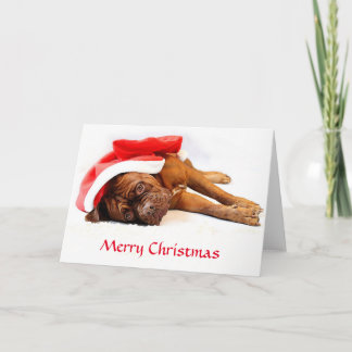 Carte de Noël de Dogue de Bordeaux
