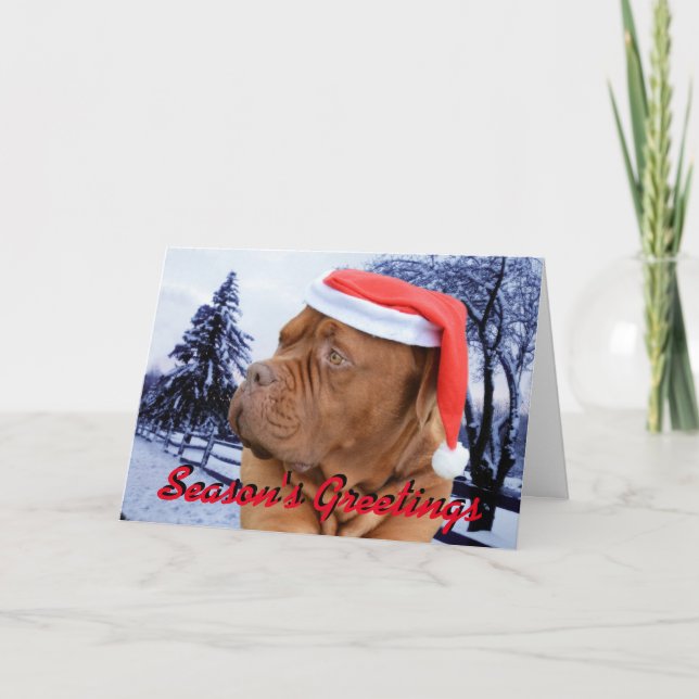 Carte de Noël de Dogue de Bordeaux (Devant)