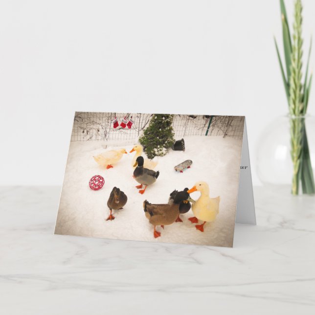 Carte de Noël de fête de Noël de canard (Devant)