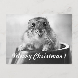 Carte de Noël de hamster