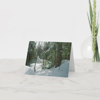 Carte de Noël de la forêt de neige Mt Washington N