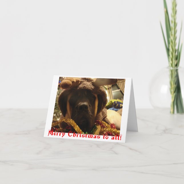 Carte de Noël de mastiff (Devant)